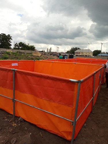 Tarpaulin Fish Pond: How to Buy and Costly Mistakes To Avoid